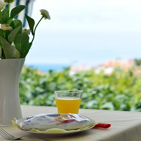 Briuni Riviera Apartment *